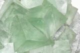 Green Cubic Fluorite Crystals with Phantoms - China #216334-2